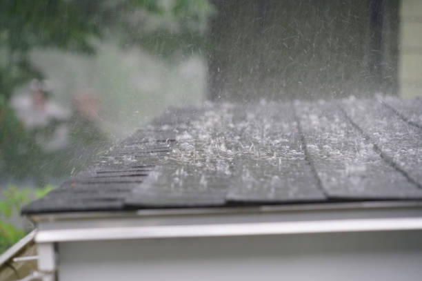 Best Roof Maintenance and Cleaning  in Owens Cross Roads, AL